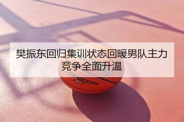 樊振东回归集训状态回暖男队主力竞争全面升温